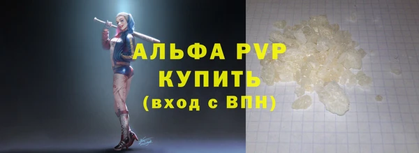индика Абаза
