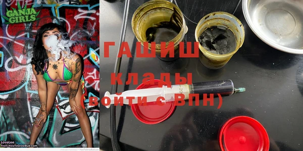 индика Абаза