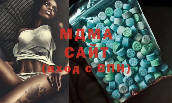 индика Абаза